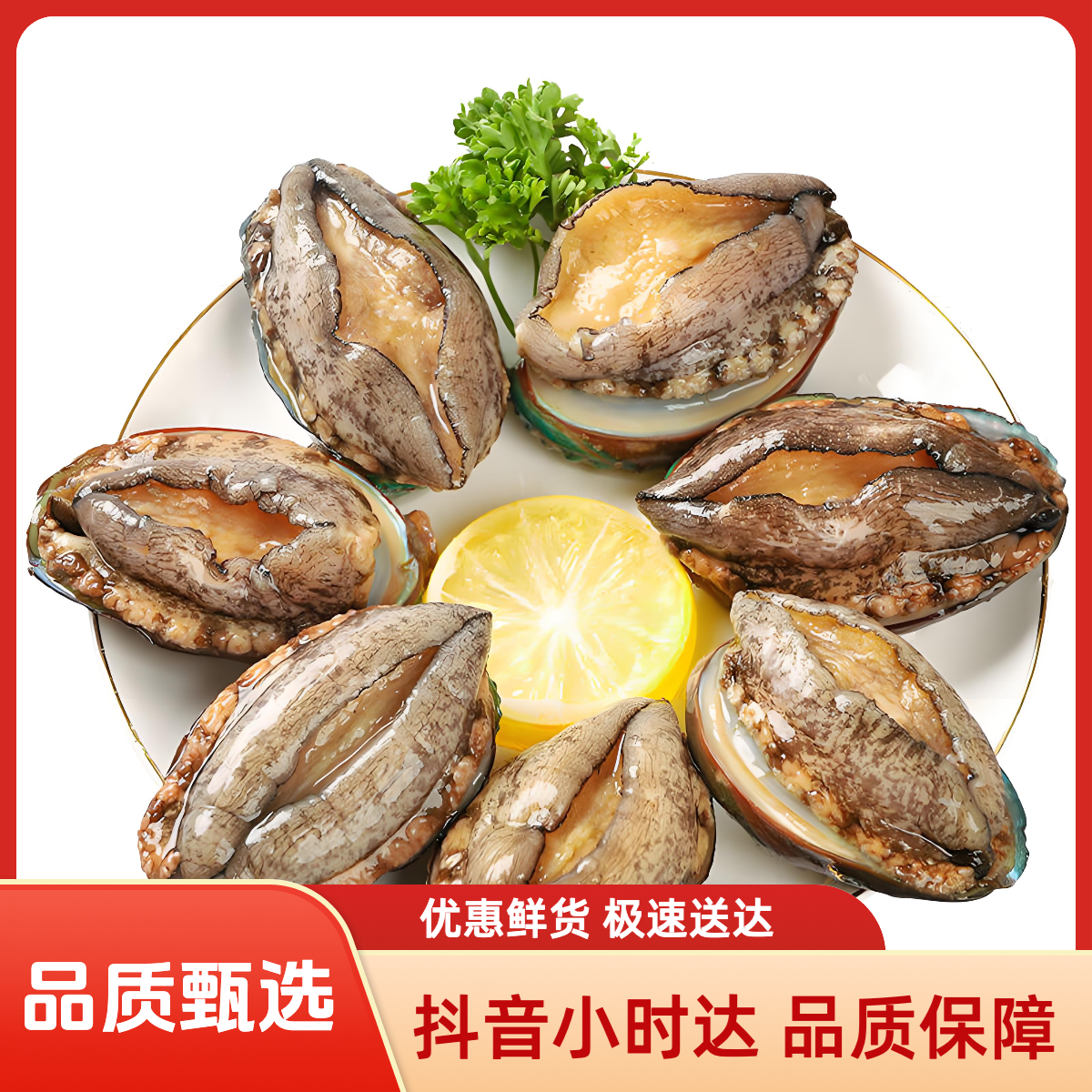 鲍鱼3-4个头 10个装 鲜活鲍鱼