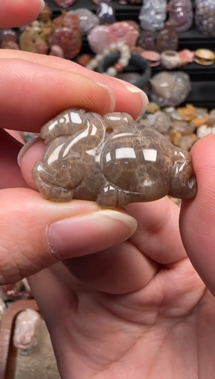 颈饰未镶嵌硅化珊瑚（珊瑚玉）199