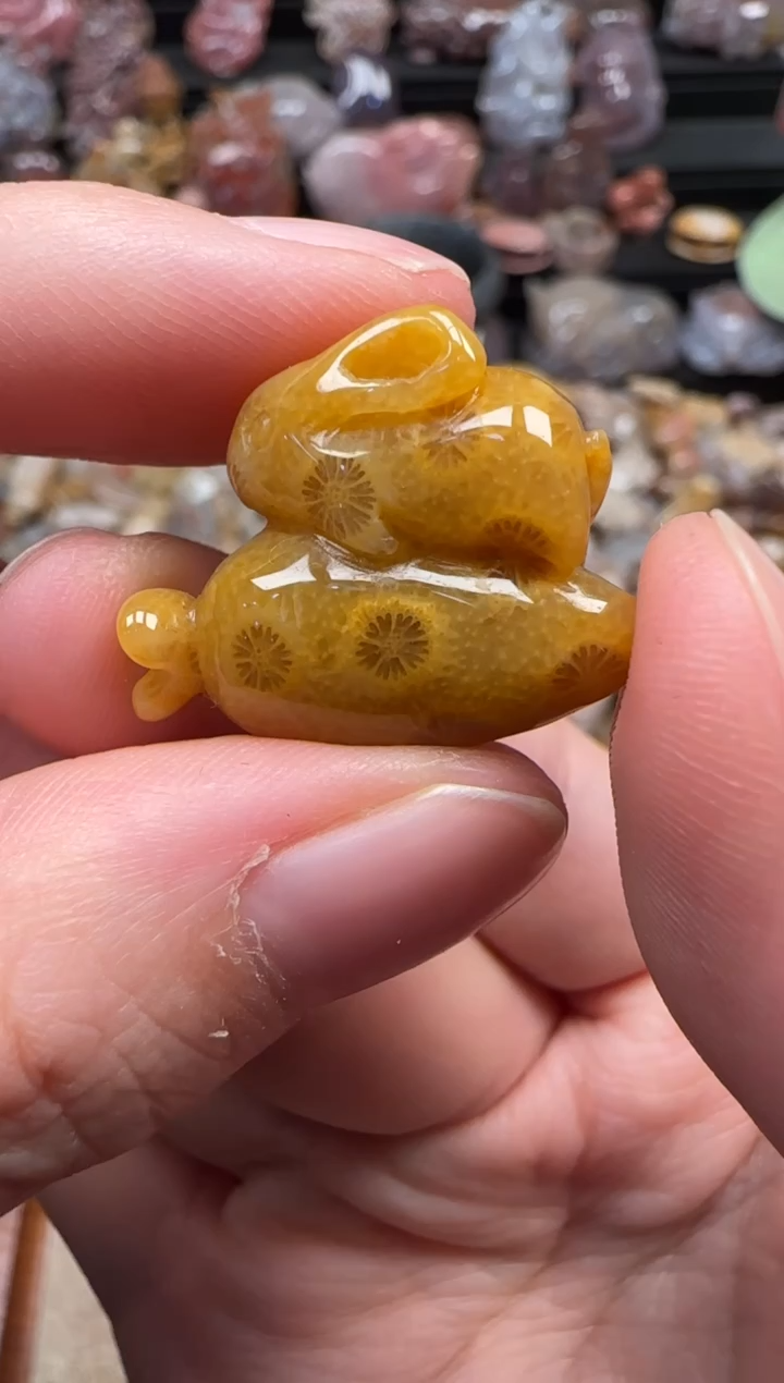 颈饰未镶嵌硅化珊瑚（珊瑚玉）176