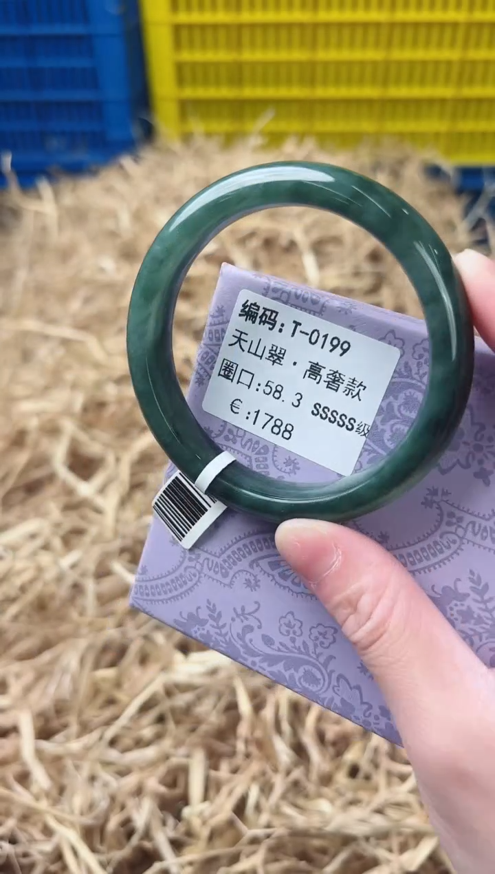 未镶嵌手镯石英质玉T-0199