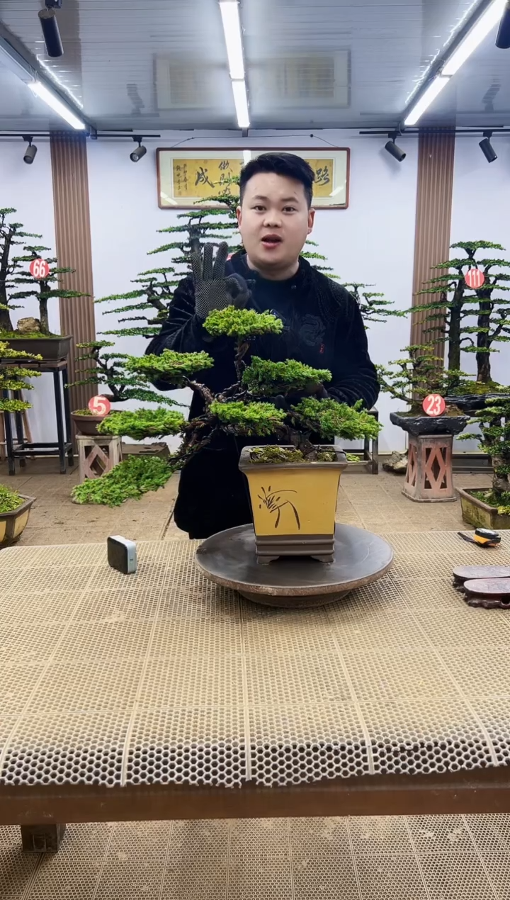 【闪购商品】000000