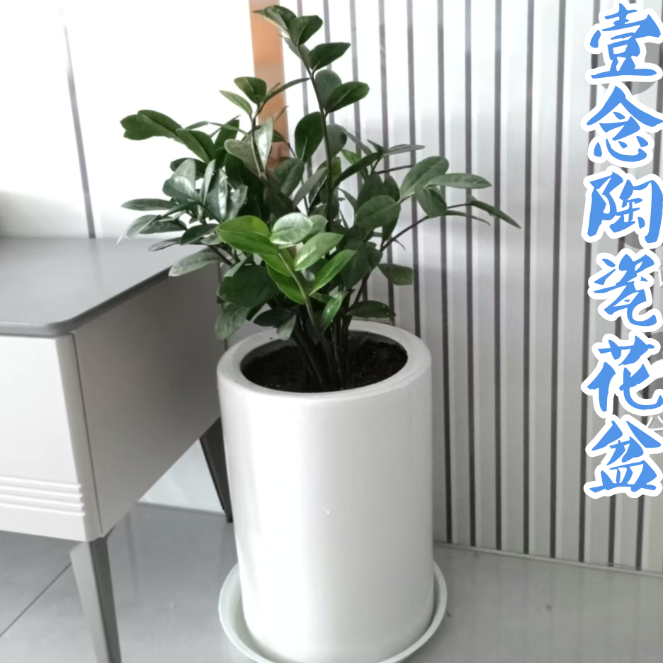 笔筒大口径花盆多种风格适用庭院客厅绿植通用