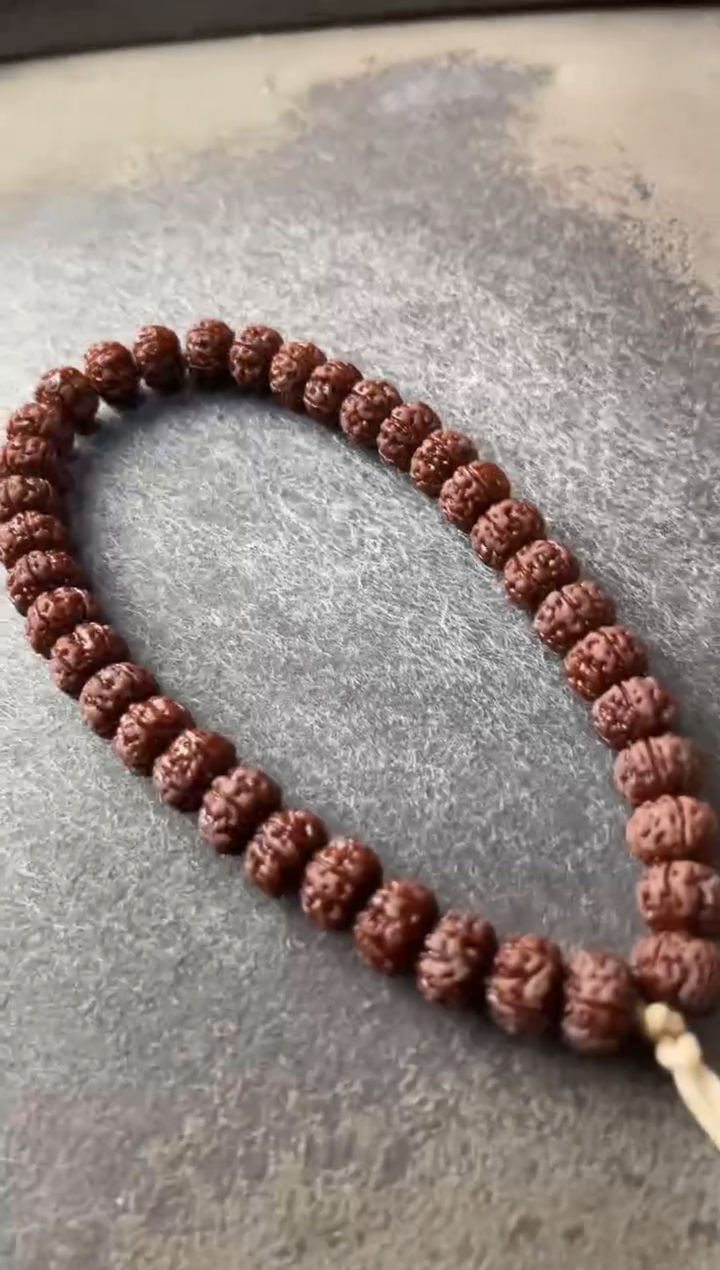 手串金刚菩提童*10+老树王