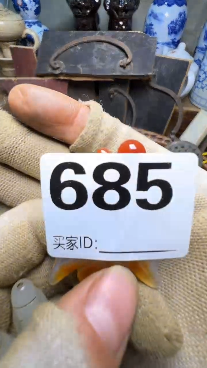 用****1佳合创意屋专属链接