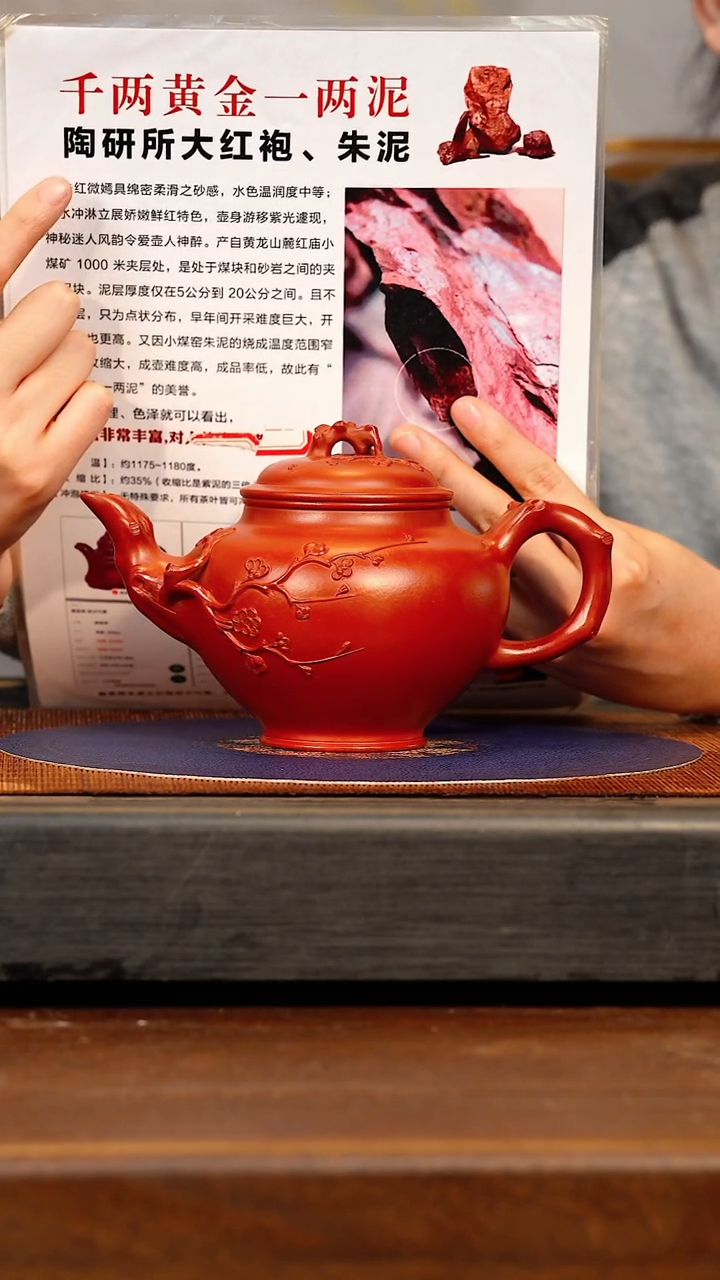 BYM 大红袍 报春      