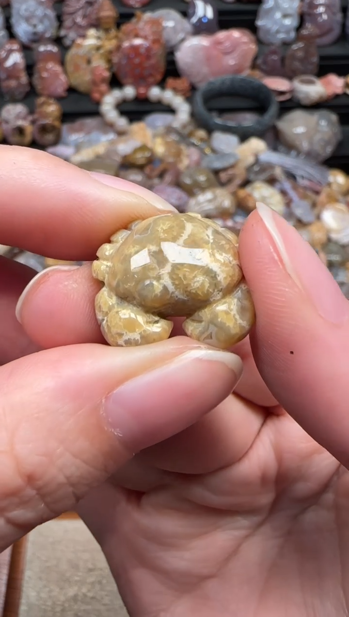 颈饰未镶嵌硅化珊瑚（珊瑚玉）765