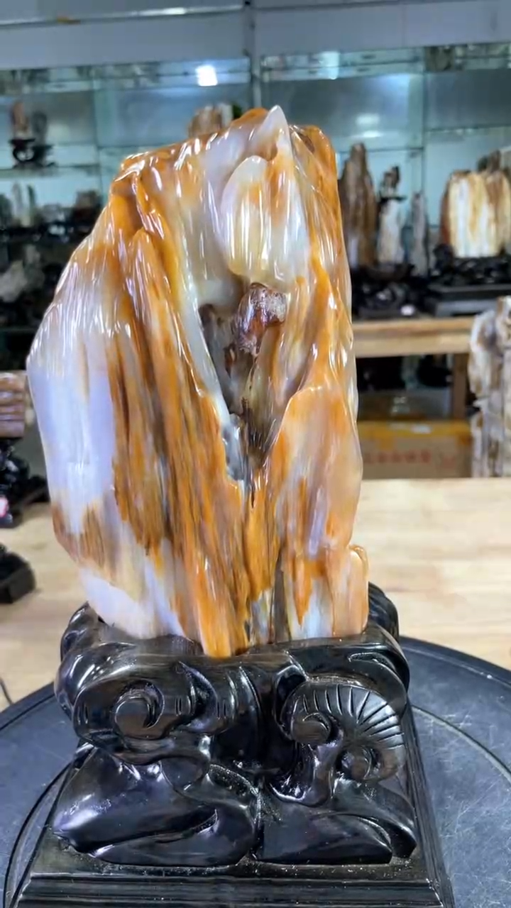 【闪购商品】硅化玉珠宝奇石未镶嵌680