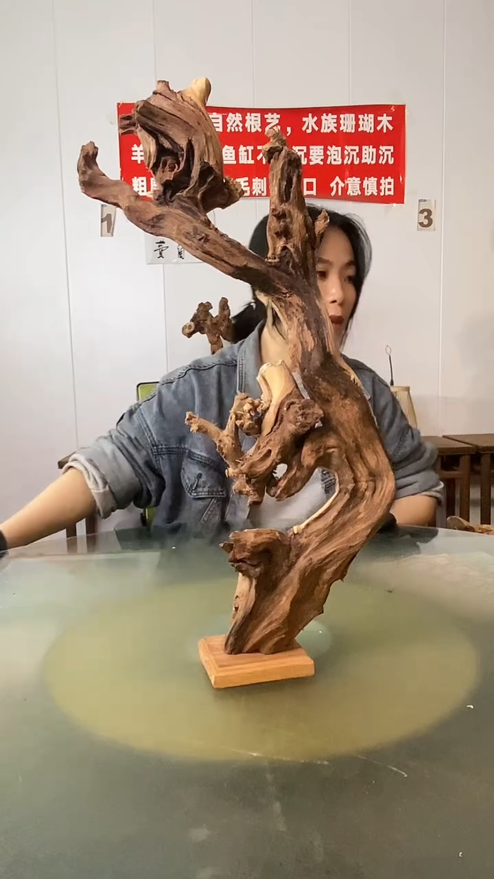 木佩*金丝红木 羊蹄甲