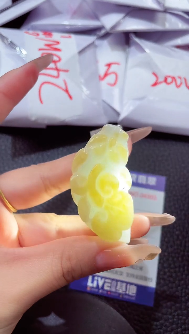 颈饰未镶嵌翡翠00000206