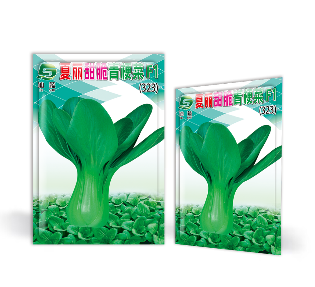 夏丽甜脆青梗菜种籽耐热耐寒四季蔬菜种子上海青小油菜青梗菜