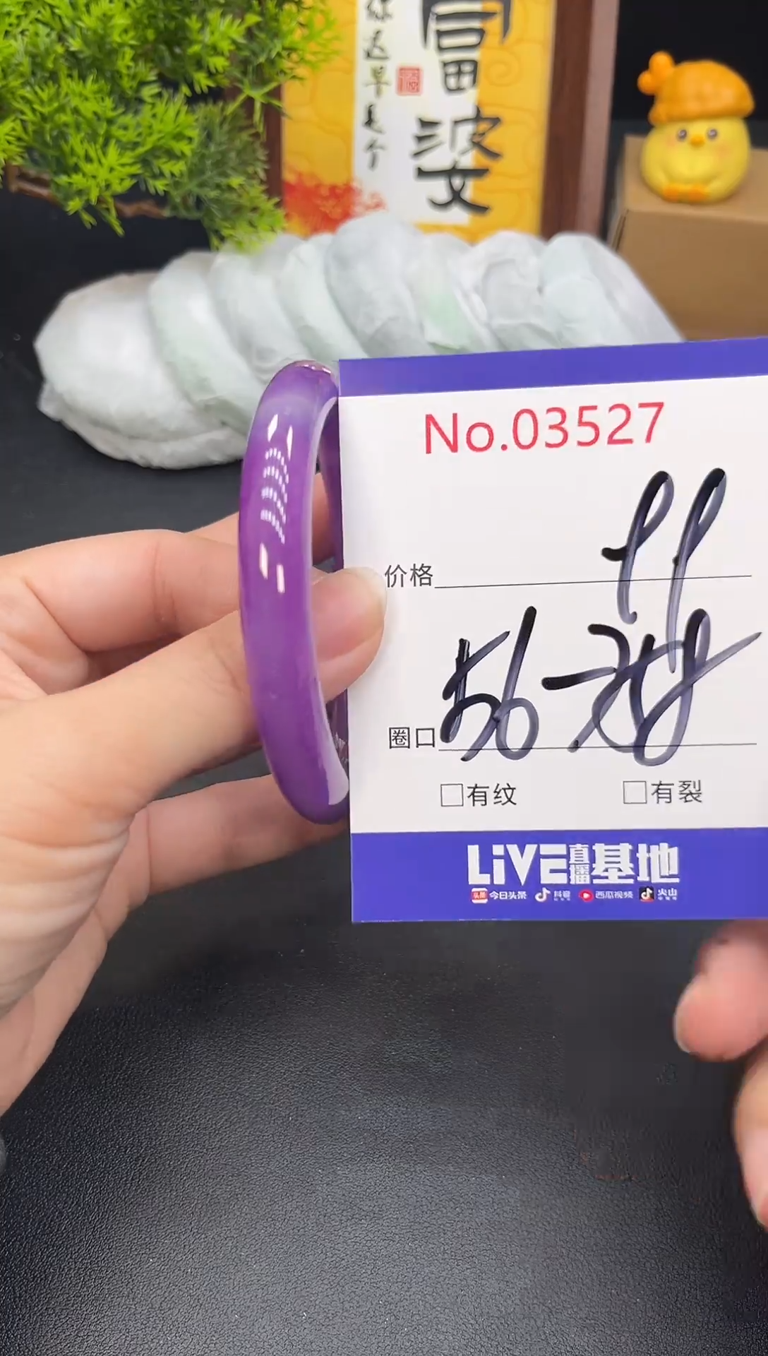 未镶嵌手镯翡翠吾**然3527