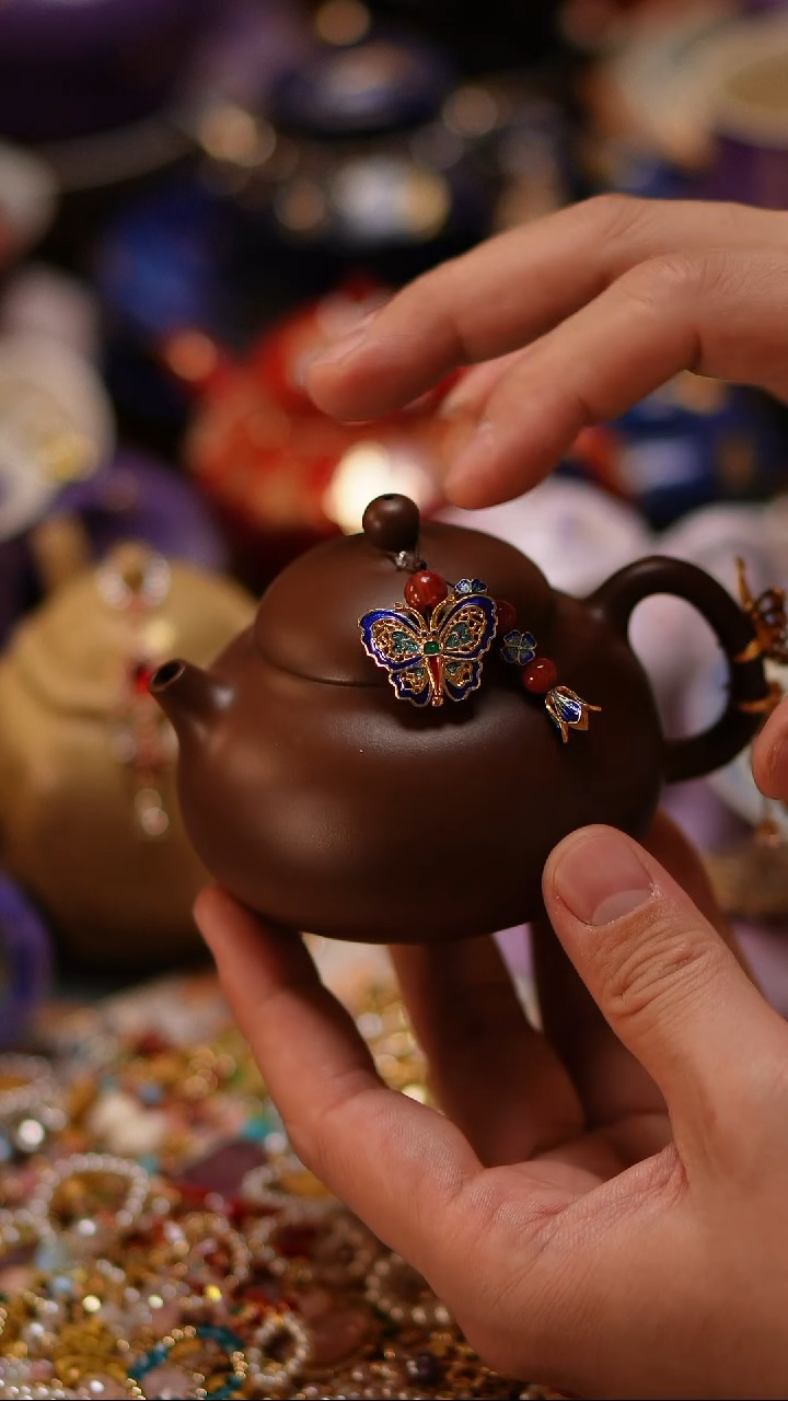 茶宠提溜提溜提溜提溜