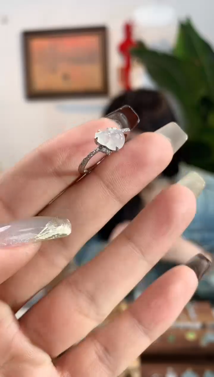 【闪购商品】翡翠银S925镶嵌颈饰戒指