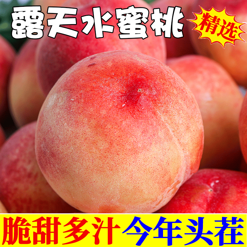 【精选9斤鲜桃】A脆甜水蜜桃新鲜当季水果桃子时令水果脆桃毛桃现摘