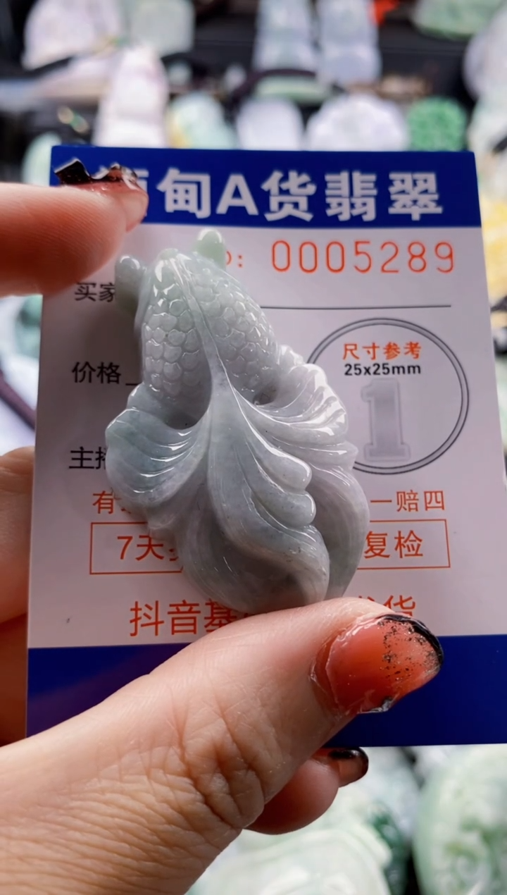 翡翠未镶嵌吊坠(不含链)1