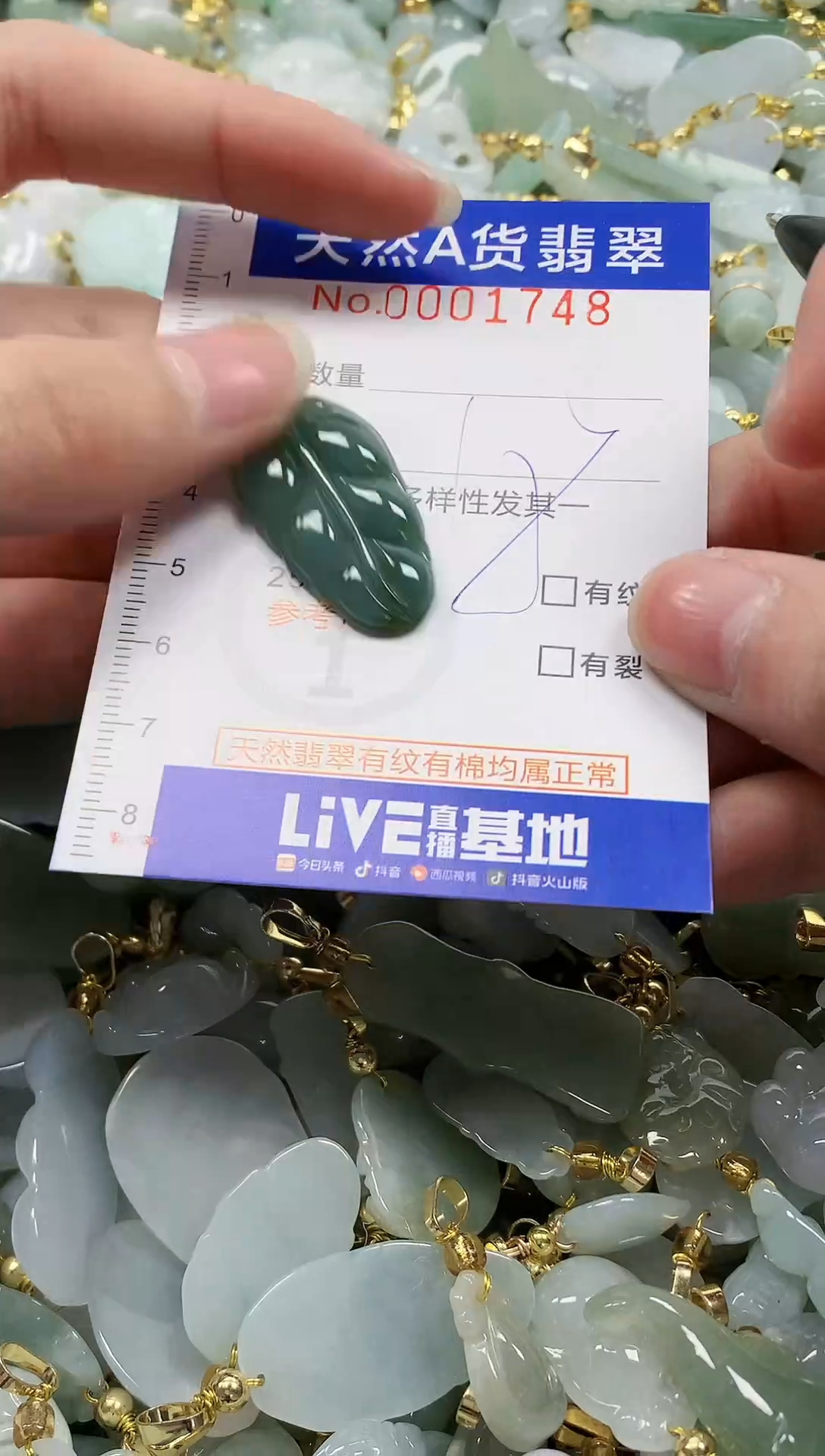 颈饰未镶嵌翡翠纯天然a货翡翠