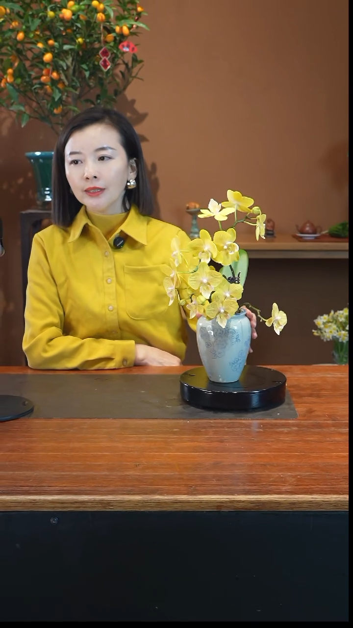 全部花朵金盏蝶景盆景盆景