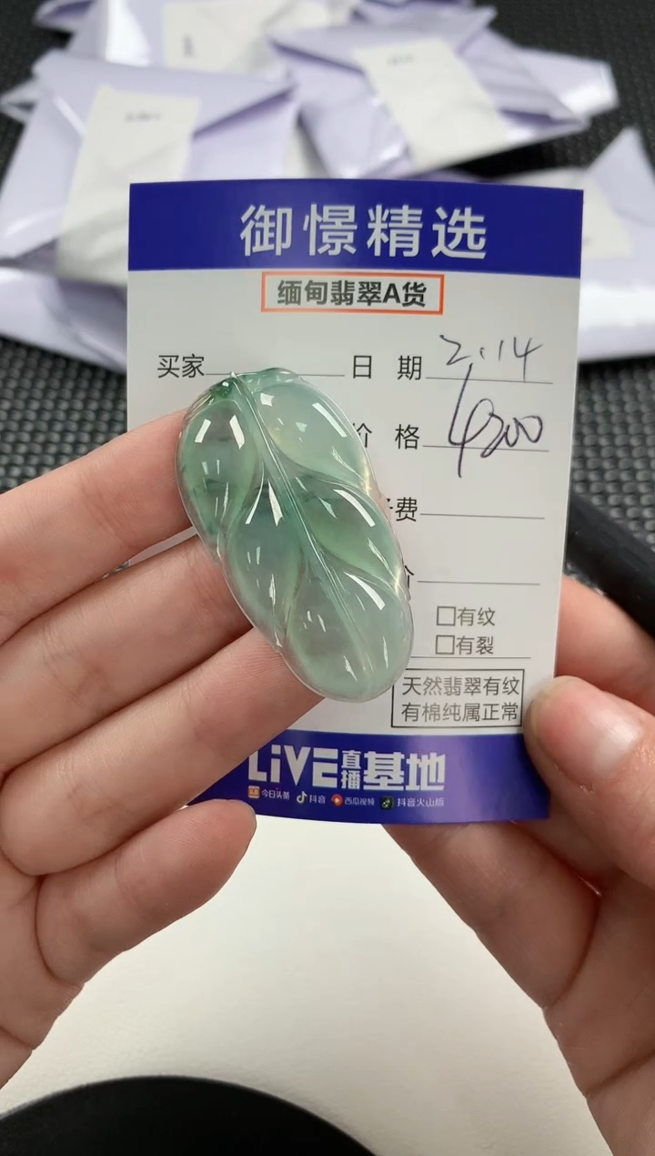 【闪购商品】翡翠颈饰未镶嵌60            