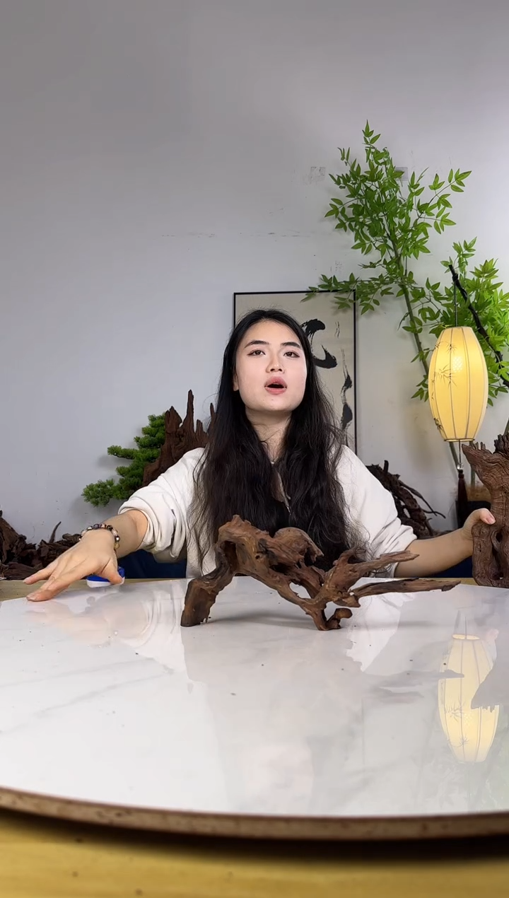 猪***布拍沉木定向链接编号35