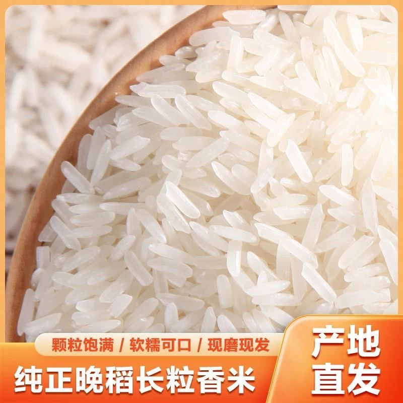 【到手十斤】农家不抛光不打蜡正宗长粒香米丝苗米煮饭清香口感软糯