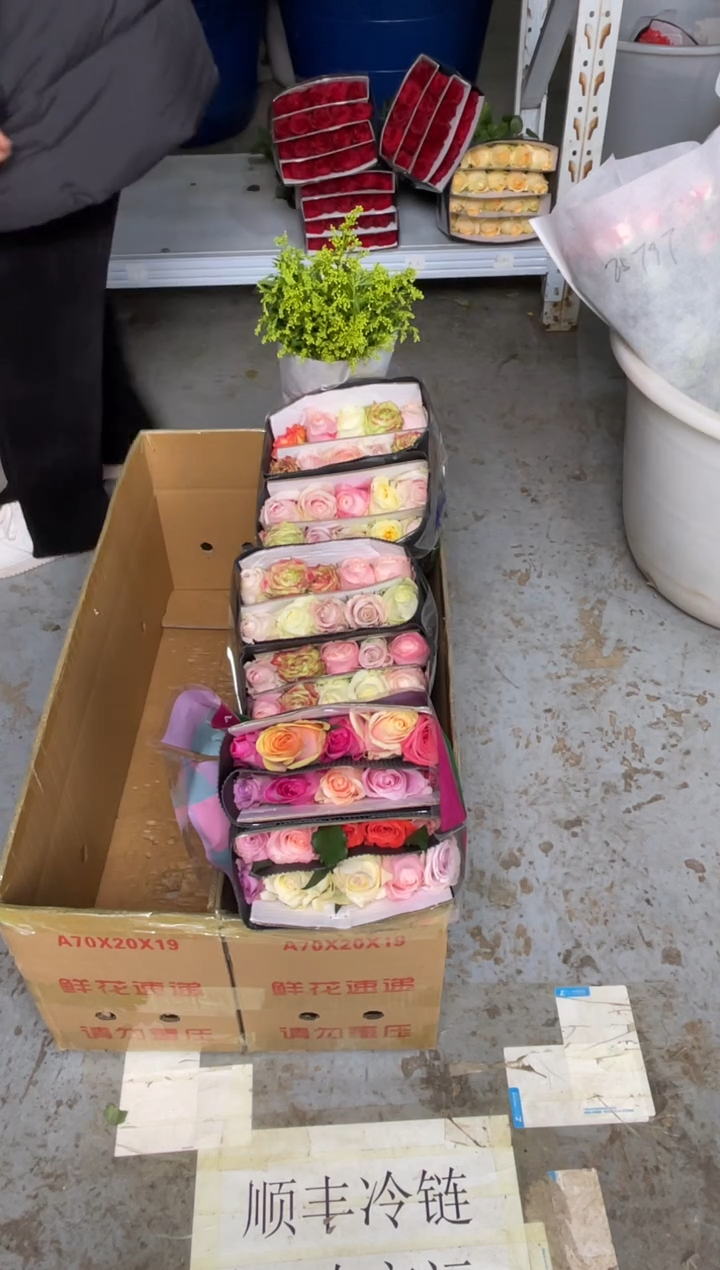 混色玫瑰60枝+黄莺