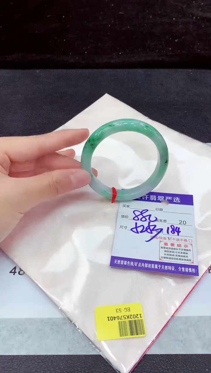 未镶嵌手镯翡翠1