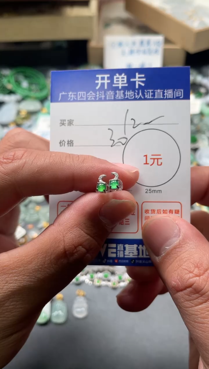 颈饰未镶嵌翡翠-*2耳钉