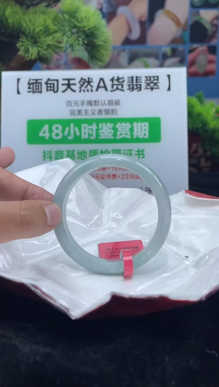 【闪购商品】翡翠手镯未镶嵌11手镯