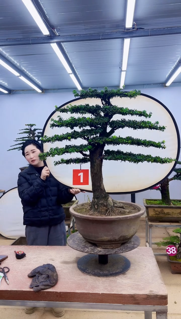 无花朵6****1一物一拍，所见即所得