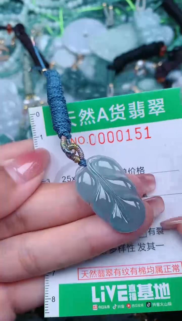 【闪购商品】翡翠颈饰未镶嵌.0000151