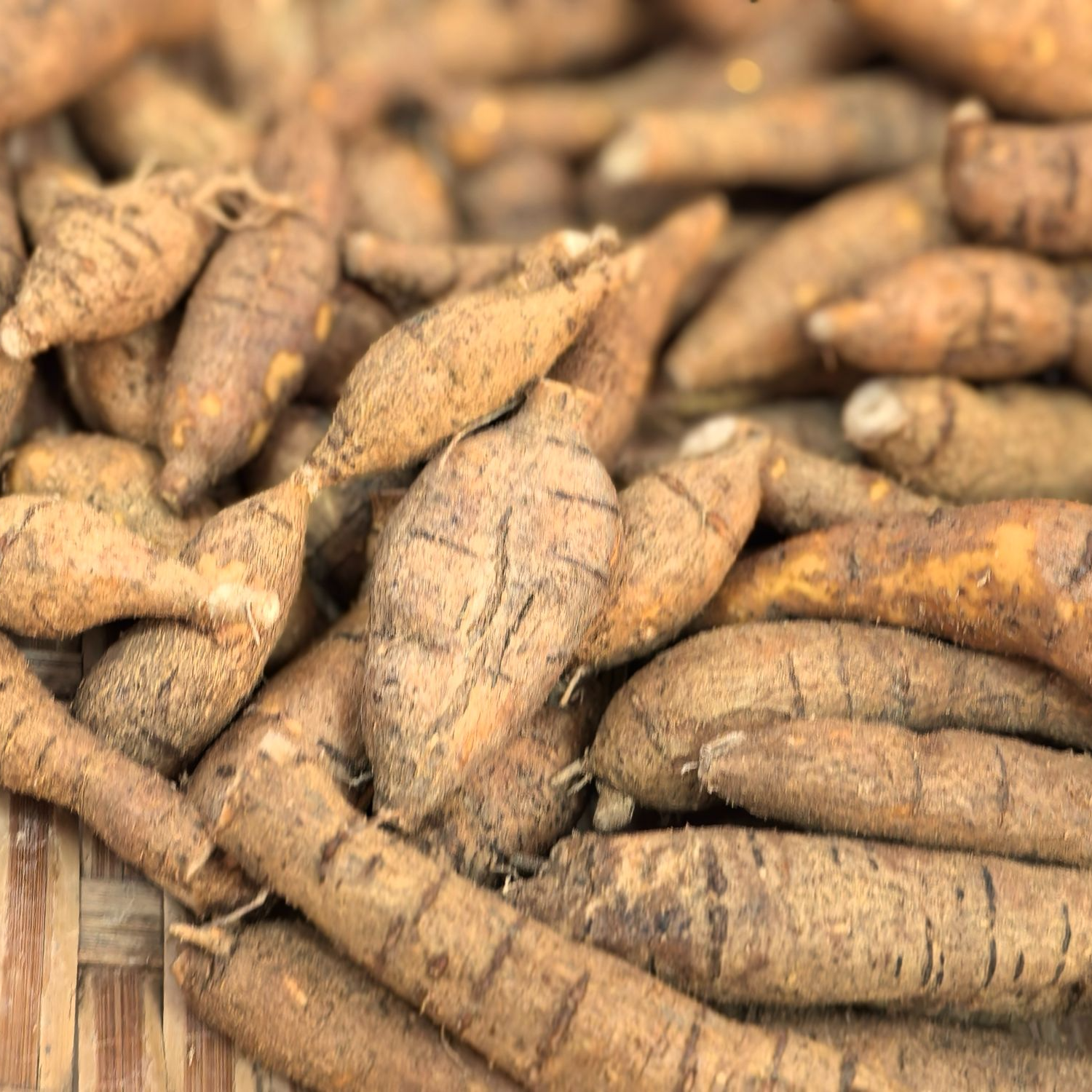 【小小牛】深山十年野生自挖新鲜粉质牛大力农家土特产泡水煲汤泡酒