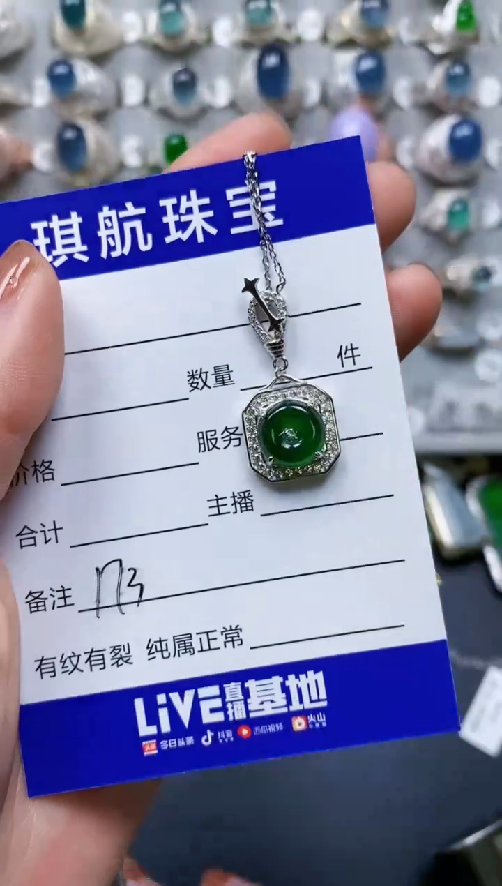 【闪购商品】翡翠颈饰银S925镶嵌0173