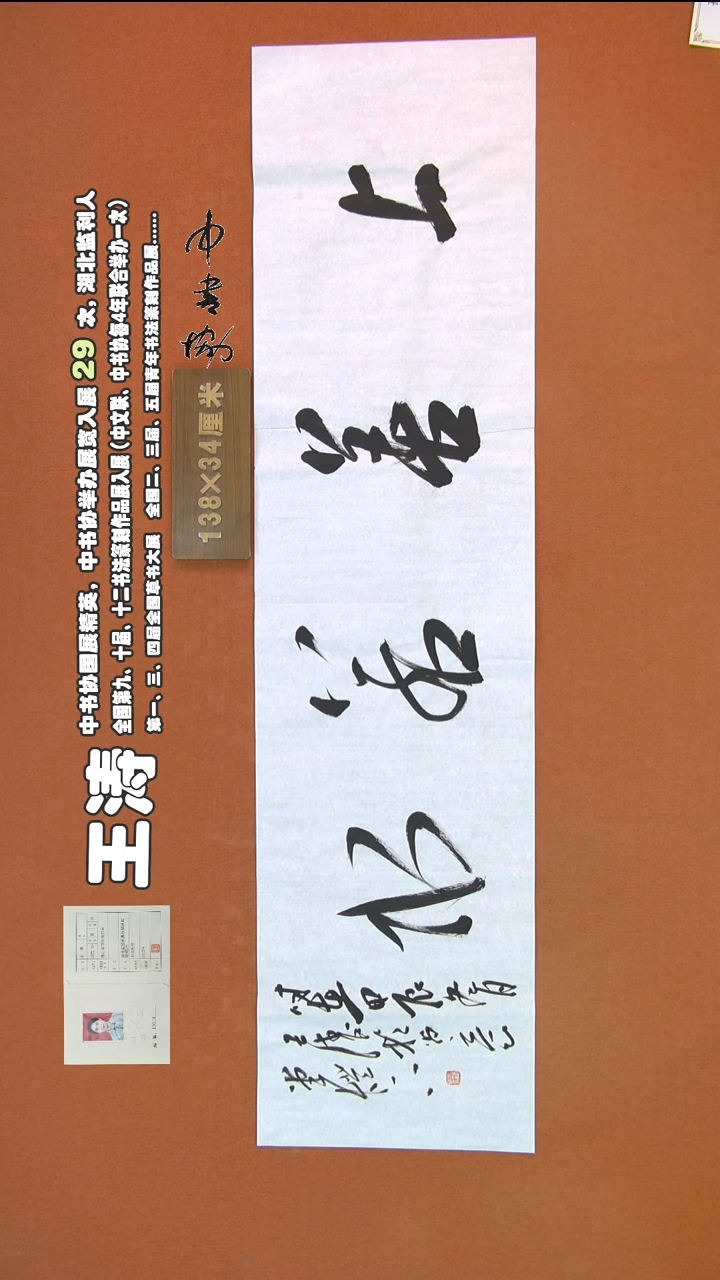 【闪购商品】书法255王涛书法作品