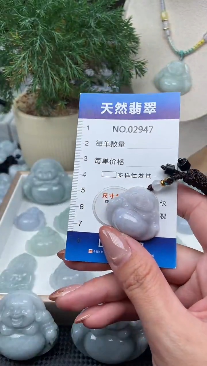 颈饰未镶嵌翡翠纯天然A货翡翠2947