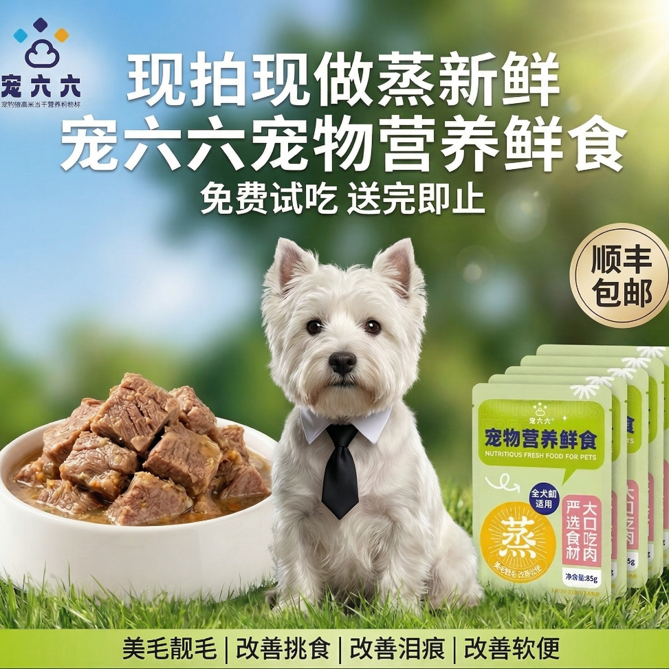宠六六宠物鲜主食狗饭湿粮配餐新鲜低脂狗狗食品幼犬成犬全价营养商品图