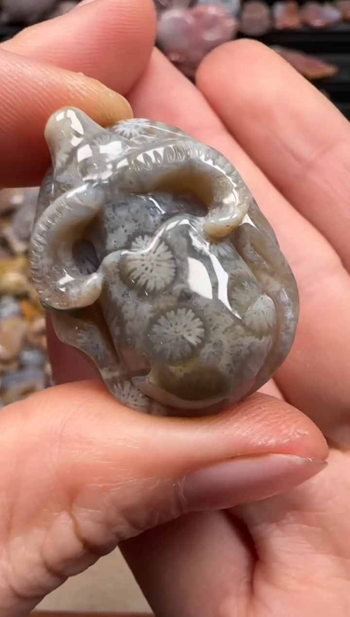 【闪购商品】硅化珊瑚（珊瑚玉）颈饰未镶嵌010