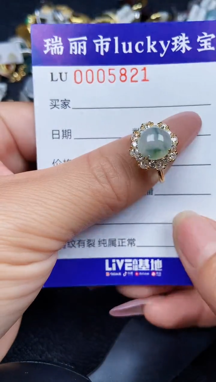 翡翠银S925镶嵌颈饰5821