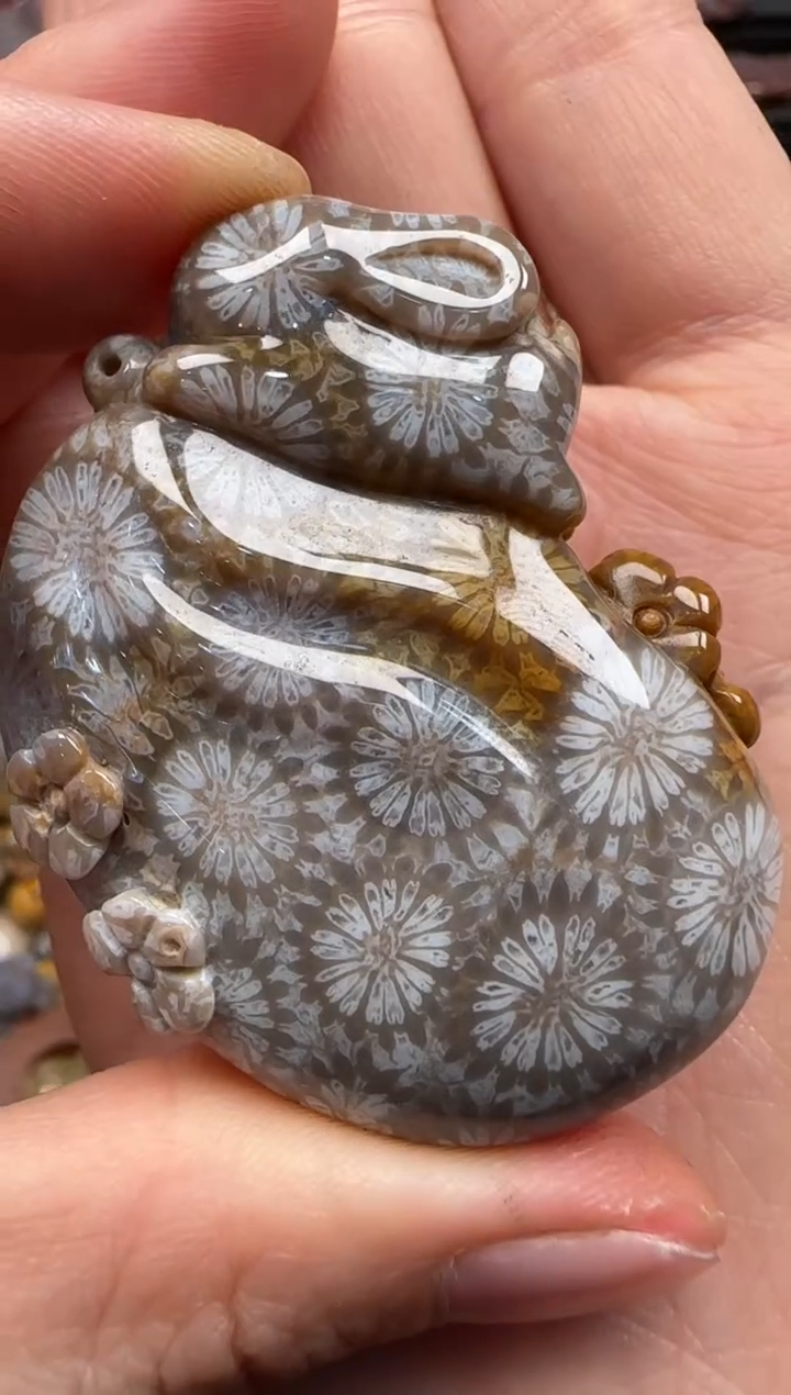 【闪购商品】硅化珊瑚（珊瑚玉）颈饰未镶嵌673