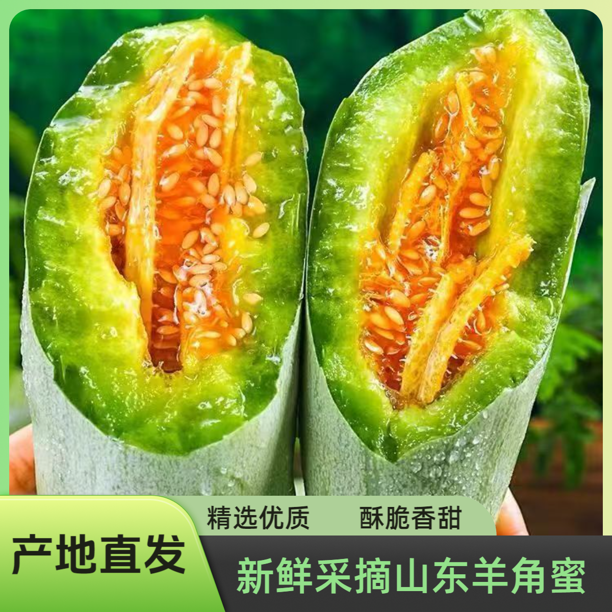【产地直发】山东羊角蜜酥脆清甜应季水果甜瓜蜜瓜产地直发新鲜采摘