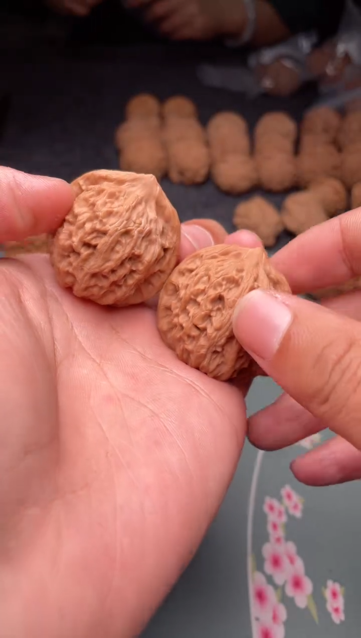 核桃a221  龙脉 36尺