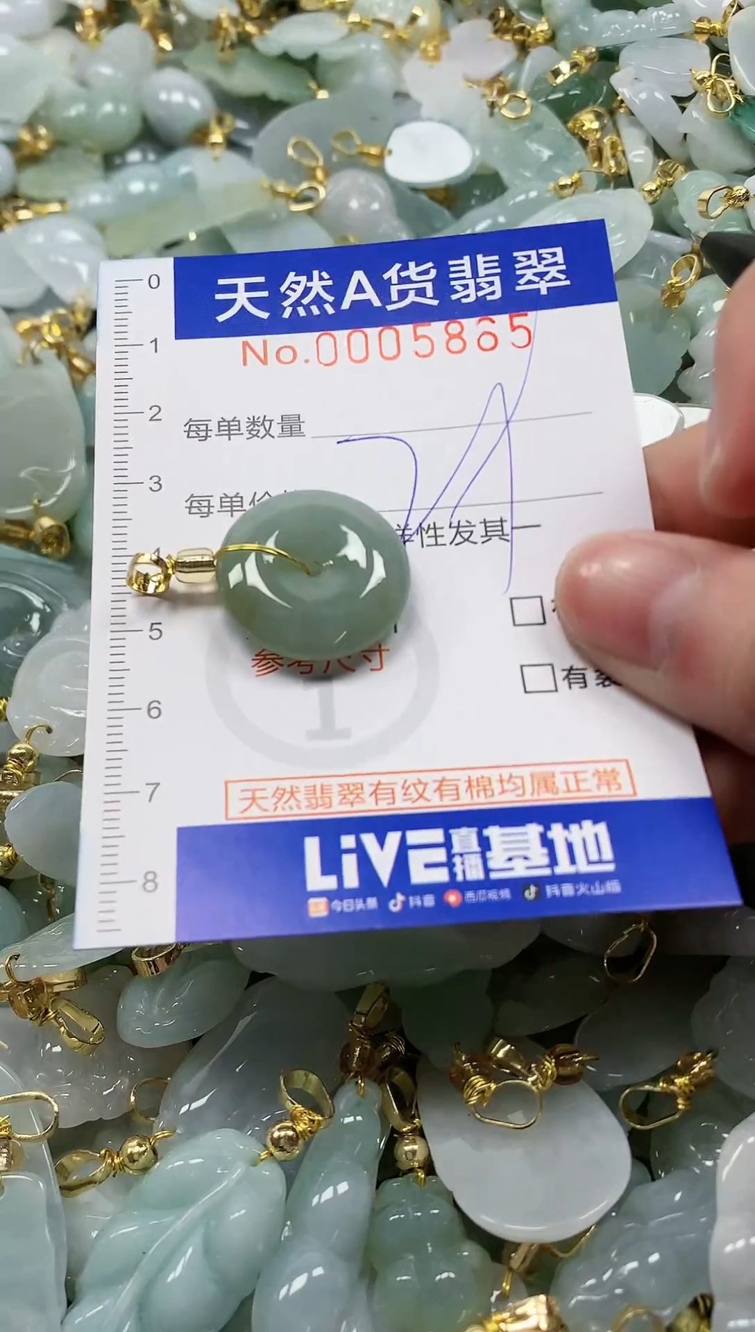 颈饰未镶嵌翡翠纯天然a货翡翠