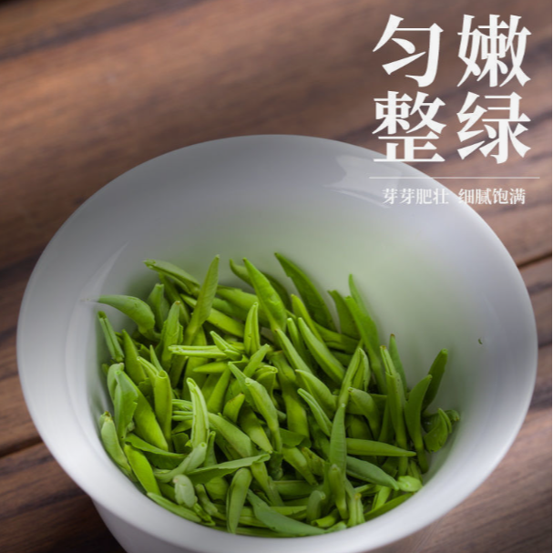 【买半斤送半斤到手一斤】2025新茶绿茶毛尖茶浓香雀舌