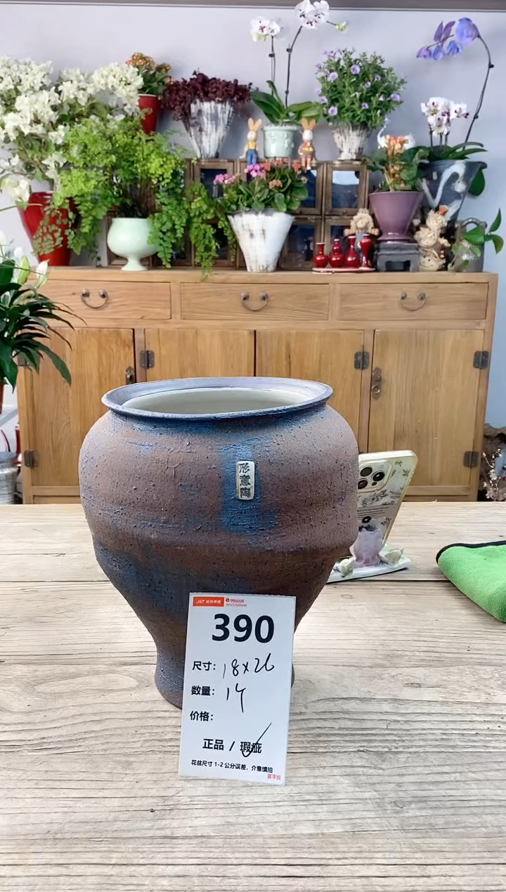 小玩子花盆直播编号390