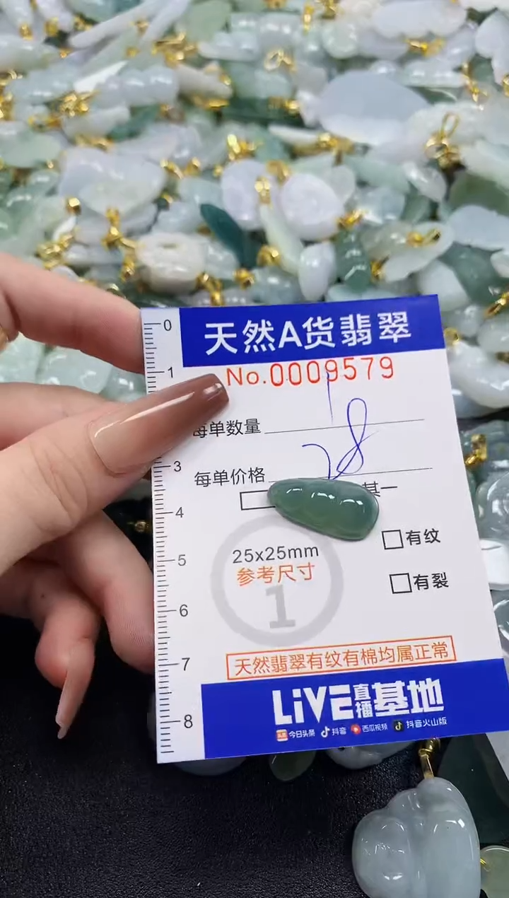 颈饰未镶嵌翡翠天然A货翡翠