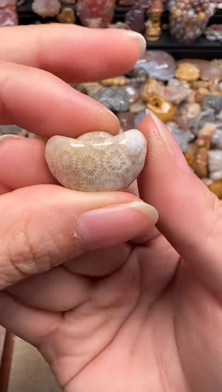 硅化珊瑚（珊瑚玉）未镶嵌颈饰729