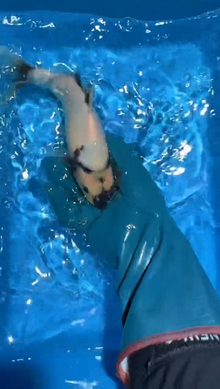 锦鲤点关注右下角竞拍链接出价