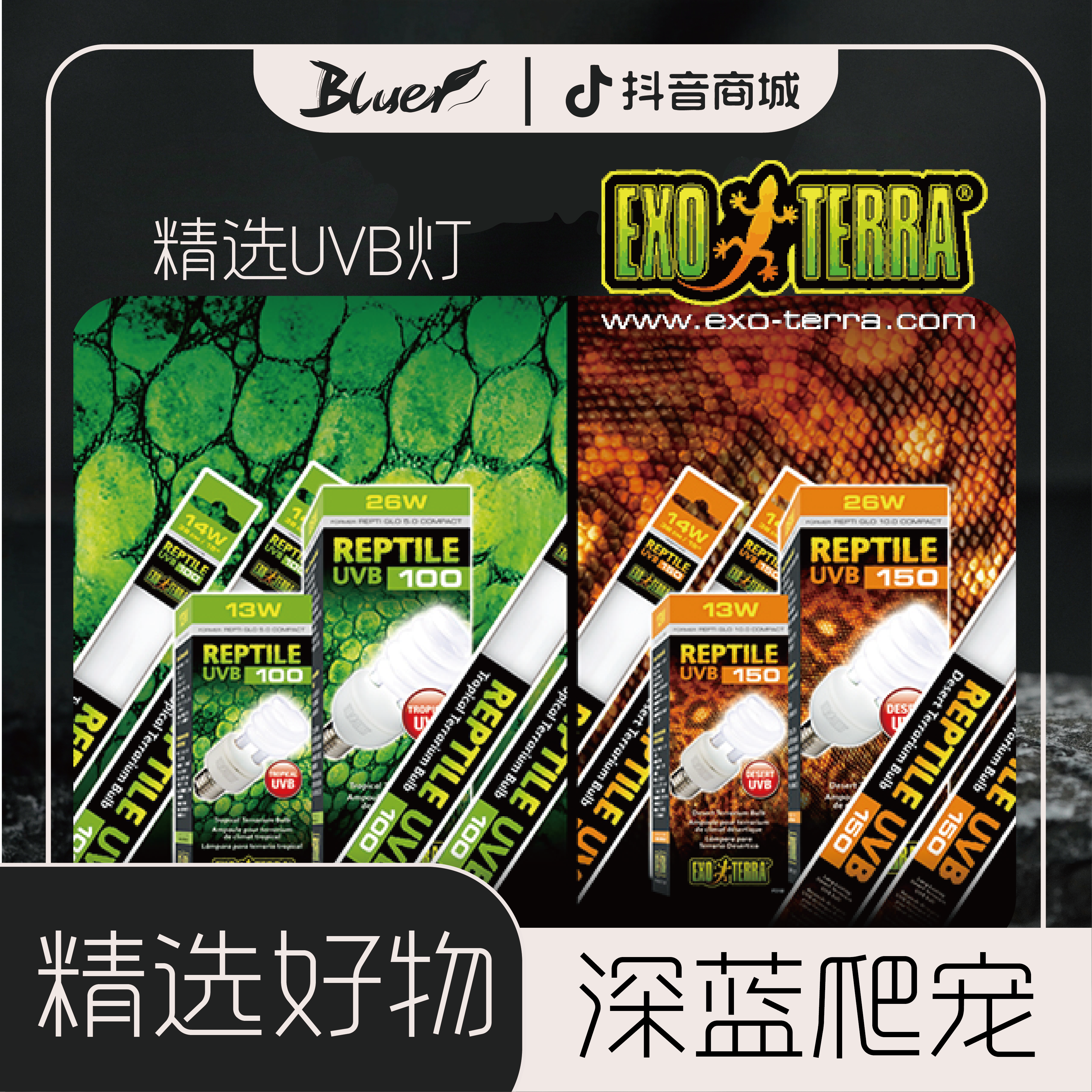 希谨UVB爬宠灯蓝舌石龙子陆龟鬃狮蜥晒背促D3补钙专用