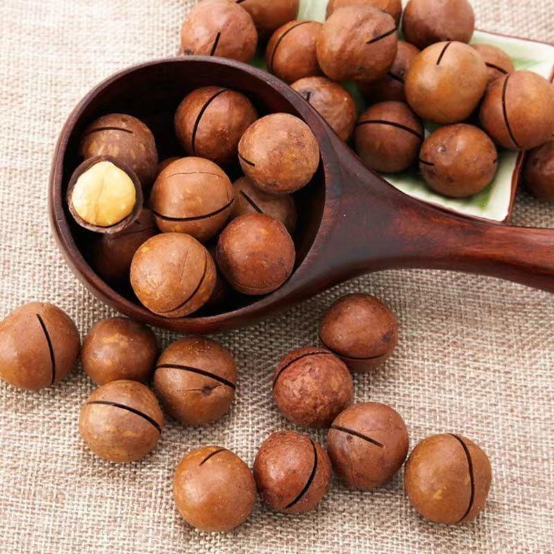 精品夏威夷果300g/份