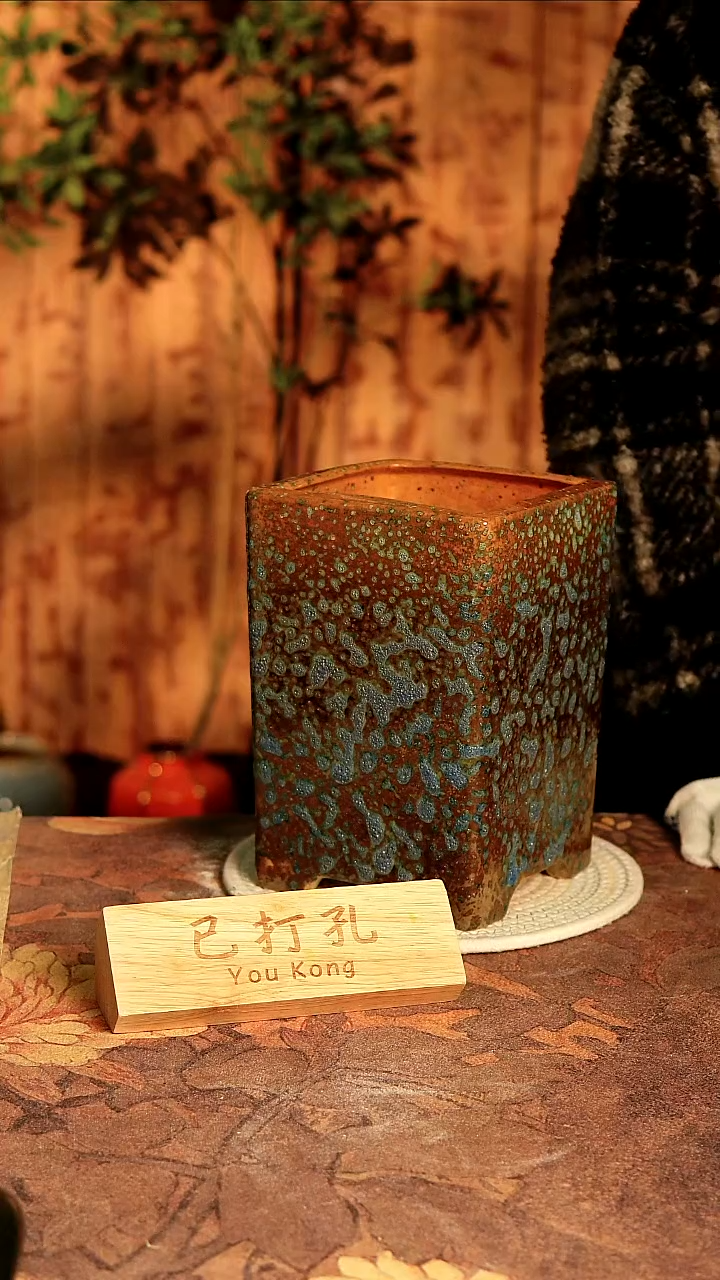 陶瓷28-529微瑕高度2口径13已打孔误差2