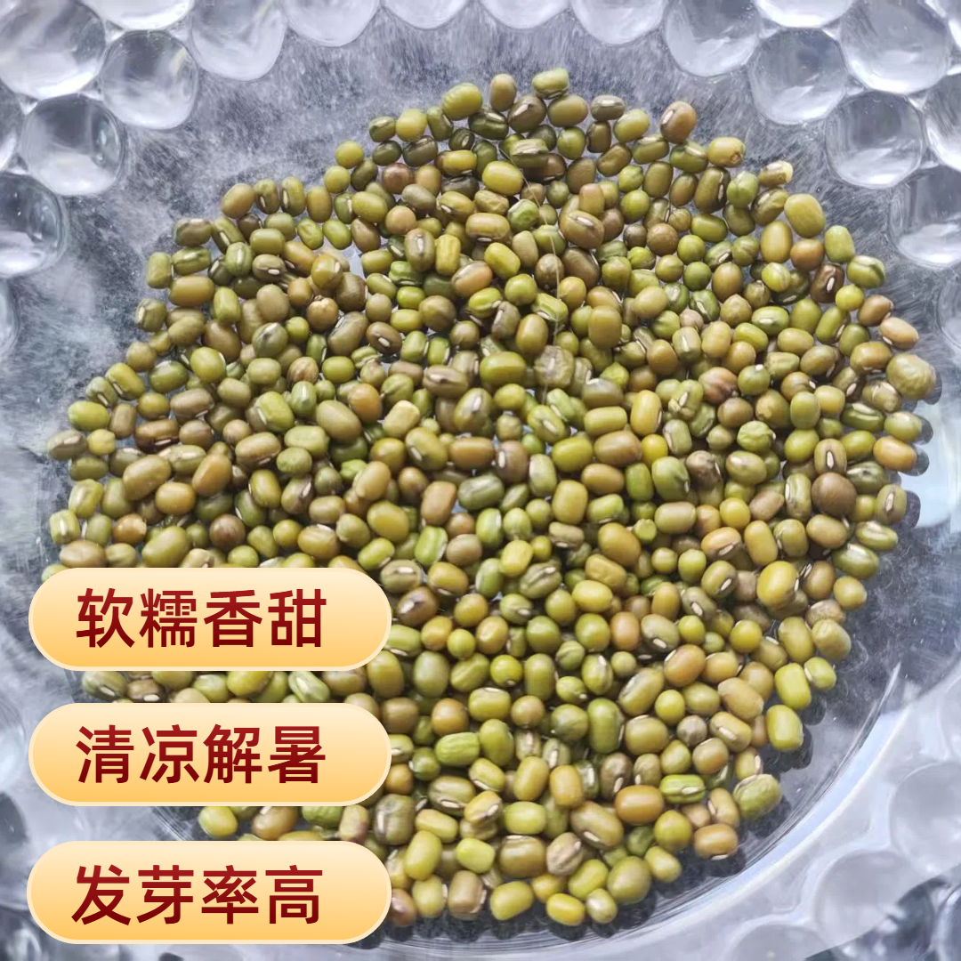 【到手三斤】东北寒土地黑土地绿豆夏季绿豆汤消暑生豆芽